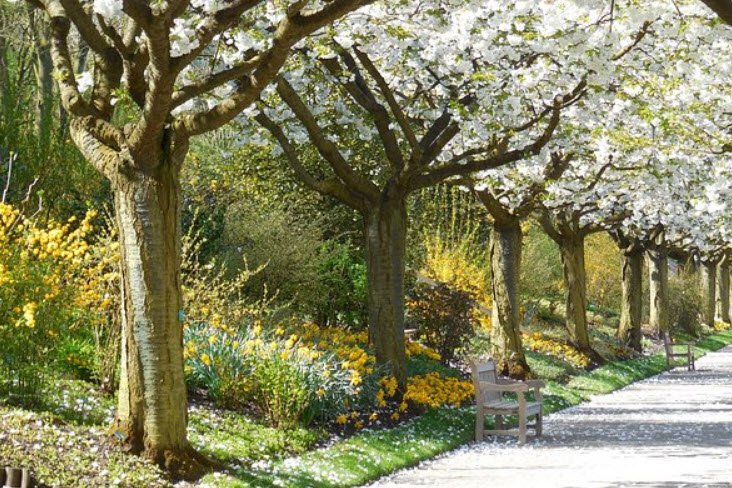 Arboretum de Tigny-Noyelle, Tigny-Noyelle, France